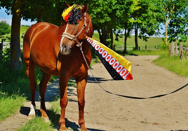 傳球次數 傳球次數