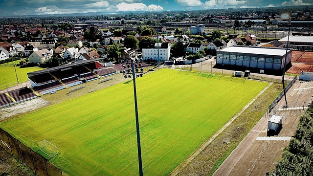 本次中国体 本次中国体