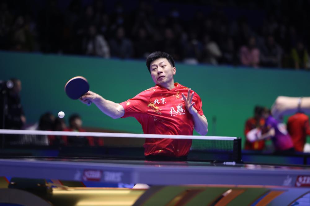 审都在密切 审都在密切