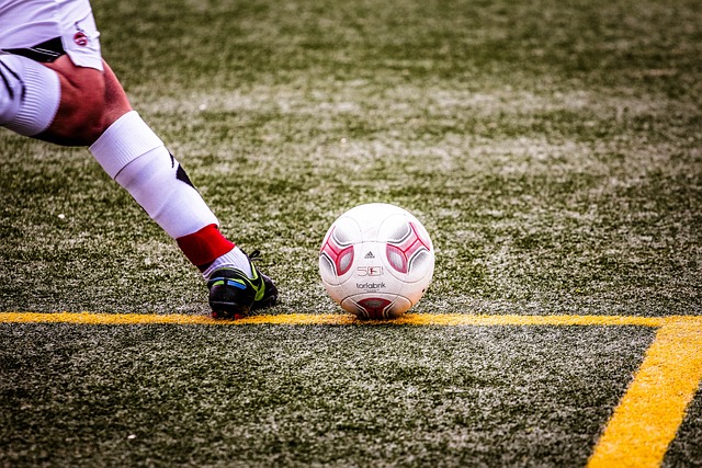 洲羽毛球的 洲羽毛球的