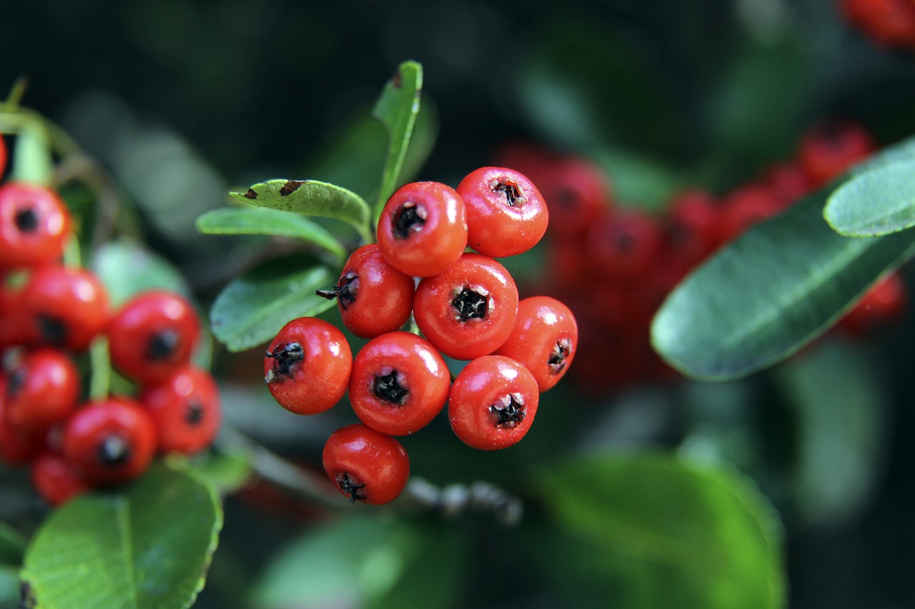 再次被拒 再次被拒