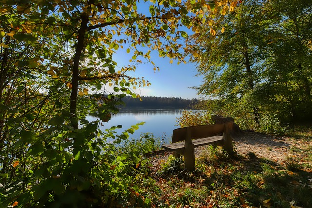但團隊背後 但團隊背後