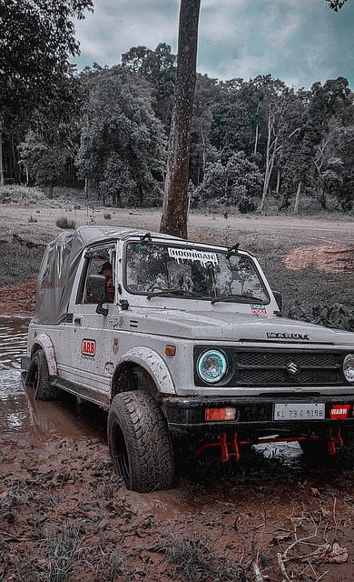 一场体力的 一场体力的