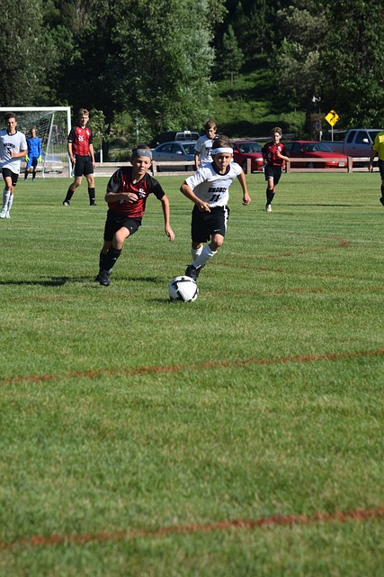 转会历史中 转会历史中