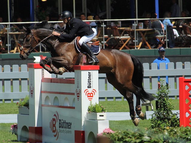 实现了对太 实现了对太